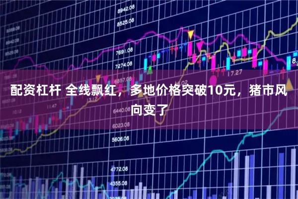 配资杠杆 全线飘红，多地价格突破10元，猪市风向变了