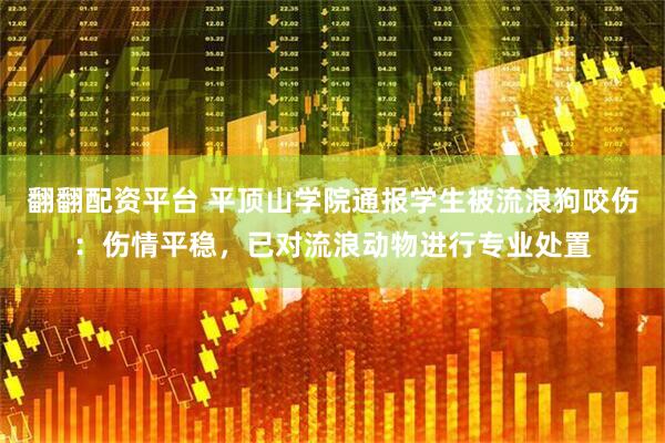 翻翻配资平台 平顶山学院通报学生被流浪狗咬伤：伤情平稳，已对流浪动物进行专业处置